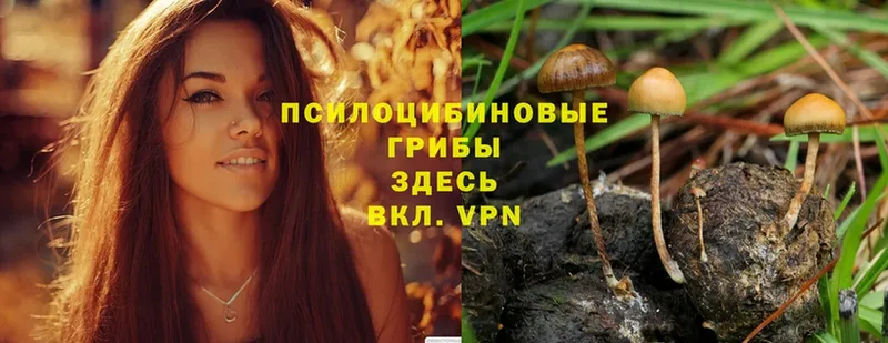 Галлюциногенные грибы MAGIC MUSHROOMS  сайты даркнета формула  MEGA вход  Белово  как найти  